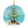 NEW Ragamuffin Cat Christmas Ceramic Ornament Christmas Tree Hanging Decorations for Home Christmas Holiday, Party, Gift, 3 in, Multicolor