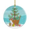 NEW Brazilian Shorthair Cat Christmas Ceramic Ornament Christmas Tree Hanging Decorations for Home Christmas Holiday, Party, Gift, 3 in, Multicolor