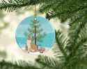NEW Singapura Cat Christmas Ceramic Ornament Christmas Tree Hanging Decorations for Home Christmas Holiday, Party, Gift, 3 in, Multicolor