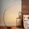 RGBW Modern Curve Floor Lamp