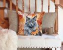 Nebelung Cat In Fall Leaves Throw Pillow Machine Washable 2350