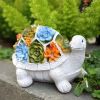 Outdoor Solar Led Turtle Light Succulents Planter Stand Gard