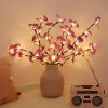 20 Led String Light Simulation Butterfly Orchid Branch