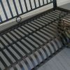 Wrought Iron Outdoor Patio 4-Ft Porch Swing In Black