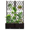 Elegant Wicker Trellis Planter Box - Raised Garden Bed For C