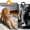 Washable 3-Piece Kitchen Rug Set