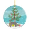 Ceramic Ornament Christmas