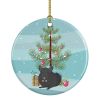 Ceramic Ornament Christmas