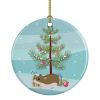 Ceramic Ornament Christmas