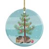 Ceramic Ornament Christmas
