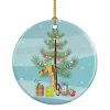 Ceramic Ornament Christmas