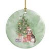 Ceramic Ornament Christmas